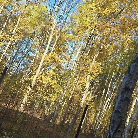 - Bursztynowy Zakatek - 300m Od Morza Apartamento *